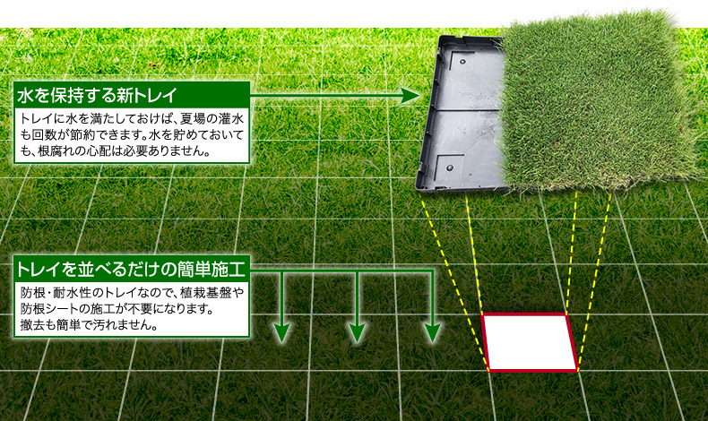 水を保持する新トレイ　トレイに水を満たしておけば、夏場の灌水も回数が節約できます。水を貯めておいても、根腐れの心配は必要ありません。　トレイを並べるだけの簡単施工　防根・耐水性のトレイなので、植栽基盤や防根シートの施工が不要になります。
	撤去も簡単で汚れません。