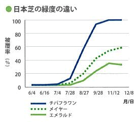 日本芝の緑度の違い