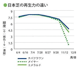 日本芝の再生力の違い