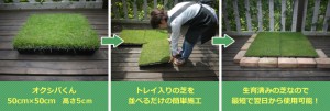 オクシバくんはトレイの芝を並べるだけの簡単施工。生育済みの芝なので最短で翌日から使用可能
