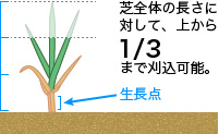 芝の刈り込みイメージ