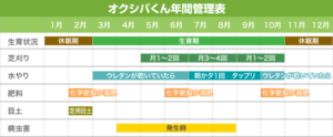 オクシバくん年間管理表