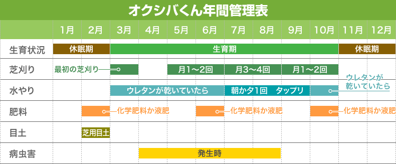 オクシバくん年間管理表