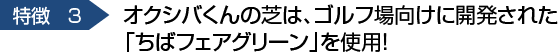 ちばフェアグリーンを使用